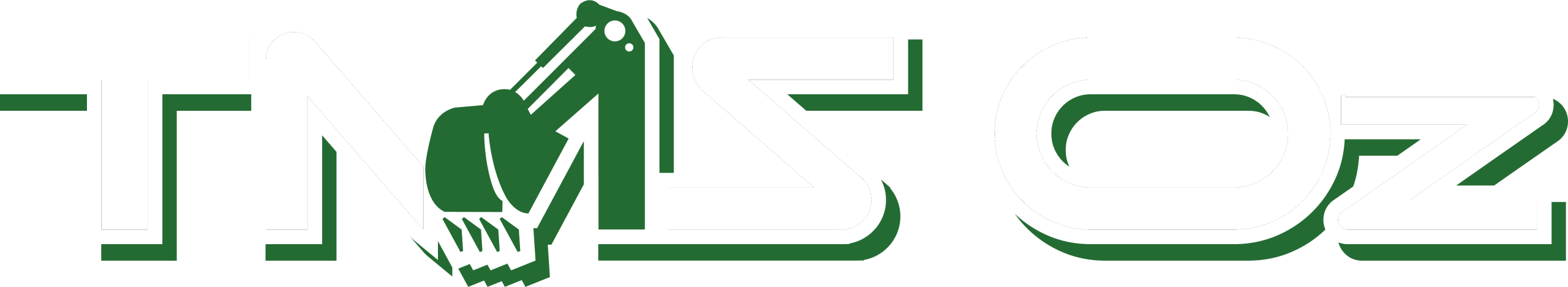 TMS Oz logo